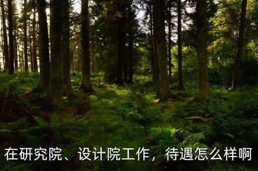 在研究院、設(shè)計(jì)院工作，待遇怎么樣啊