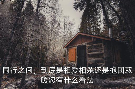 同行之間，到底是相愛相殺還是抱團(tuán)取暖您有什么看法