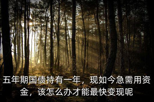 五年期國債持有一年，現(xiàn)如今急需用資金，該怎么辦才能最快變現(xiàn)呢