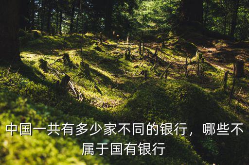 中國一共有多少家不同的銀行，哪些不屬于國有銀行