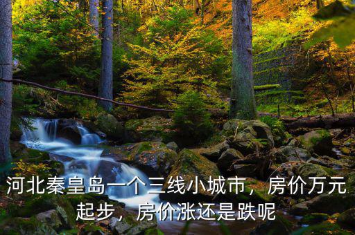 河北秦皇島一個(gè)三線小城市，房價(jià)萬元起步，房價(jià)漲還是跌呢