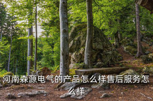 河南森源電氣住宿條件怎么樣,河南森源電氣的產品怎么樣