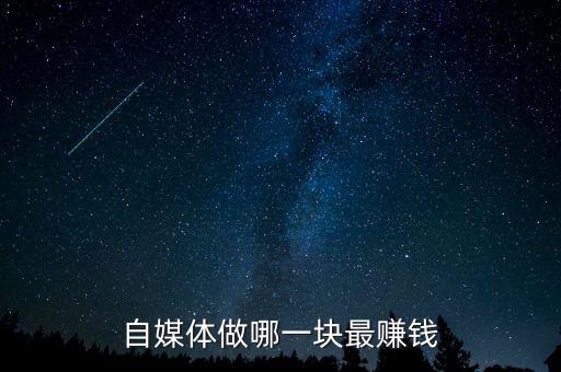 自貿區(qū)做什么賺錢,現在做啥生意容易賺錢