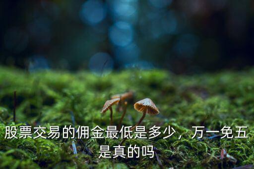 股票交易的傭金最低是多少，萬一免五是真的嗎