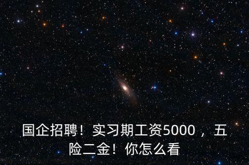 國(guó)企招聘！實(shí)習(xí)期工資5000 ，五險(xiǎn)二金！你怎么看