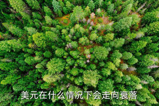 美元在什么情況下會(huì)走向衰落