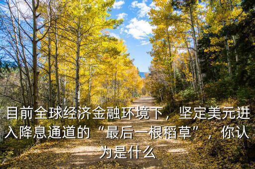 目前全球經(jīng)濟(jì)金融環(huán)境下，堅(jiān)定美元進(jìn)入降息通道的“最后一根稻草”，你認(rèn)為是什么