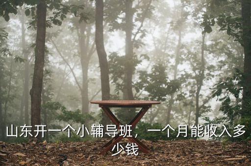山東開一個(gè)小輔導(dǎo)班，一個(gè)月能收入多少錢