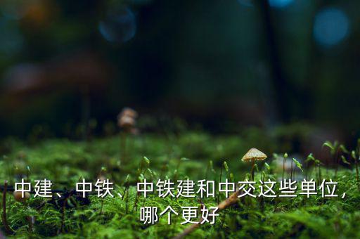中建、中鐵、中鐵建和中交這些單位，哪個(gè)更好