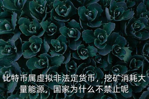比特幣屬虛擬非法定貨幣，挖礦消耗大量能源，國(guó)家為什么不禁止呢