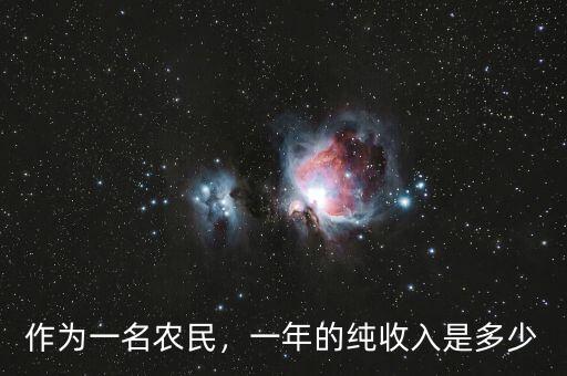 作為一名農(nóng)民，一年的純收入是多少