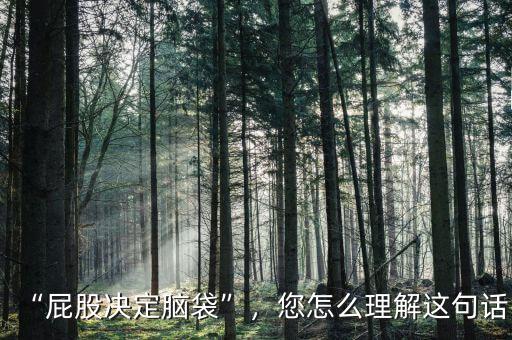 “屁股決定腦袋”，您怎么理解這句話