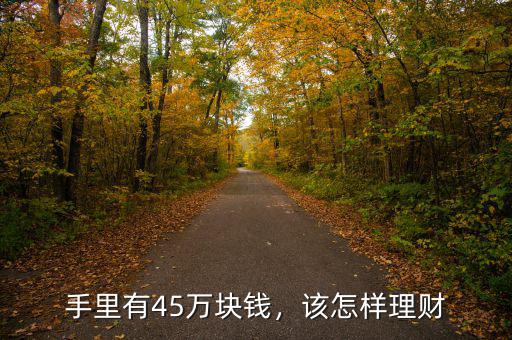 手里有45萬塊錢，該怎樣理財