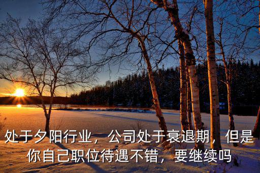 處于夕陽(yáng)行業(yè)，公司處于衰退期，但是你自己職位待遇不錯(cuò)，要繼續(xù)嗎