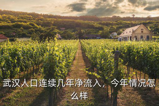 武漢人口連續(xù)幾年凈流入，今年情況怎么樣