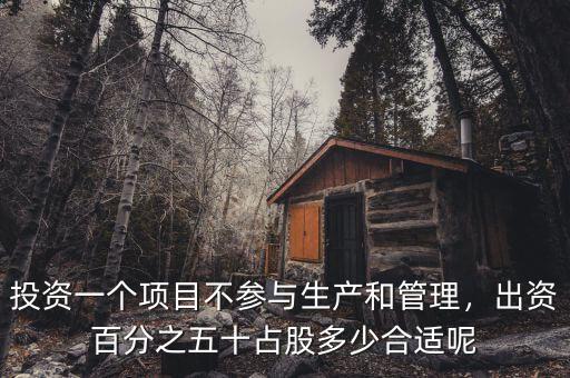 投資一個項(xiàng)目不參與生產(chǎn)和管理，出資百分之五十占股多少合適呢