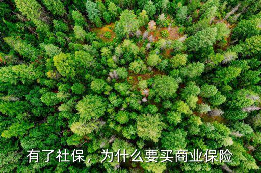 有了社保，為什么要買商業(yè)保險