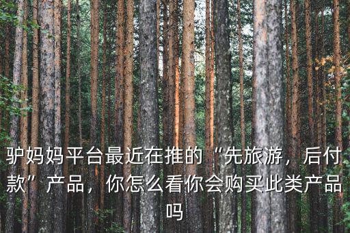 驢媽媽平臺最近在推的“先旅游，后付款”產(chǎn)品，你怎么看你會購買此類產(chǎn)品嗎