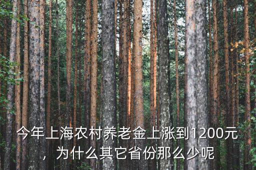 今年上海農(nóng)村養(yǎng)老金上漲到1200元，為什么其它省份那么少呢