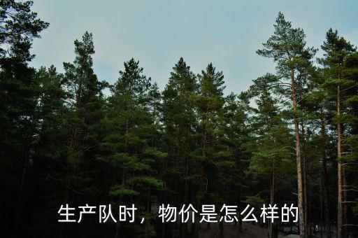 生產(chǎn)隊(duì)時(shí)，物價(jià)是怎么樣的