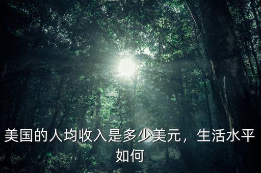 美國(guó)的人均收入是多少美元，生活水平如何