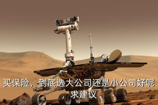 買保險(xiǎn)，到底選大公司還是小公司好呢，求建議