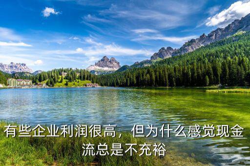 有些企業(yè)利潤很高，但為什么感覺現(xiàn)金流總是不充裕