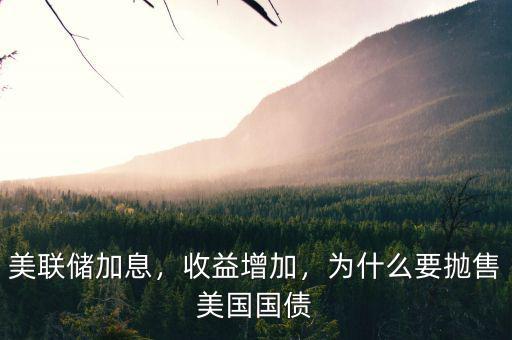 美聯(lián)儲(chǔ)加息，收益增加，為什么要拋售美國國債