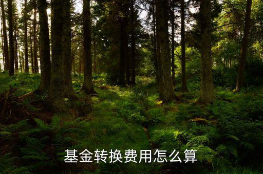 基金轉(zhuǎn)換費(fèi)用怎么算