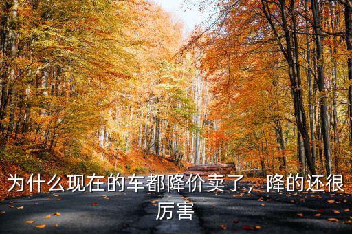 為什么現(xiàn)在的車都降價賣了，降的還很厲害