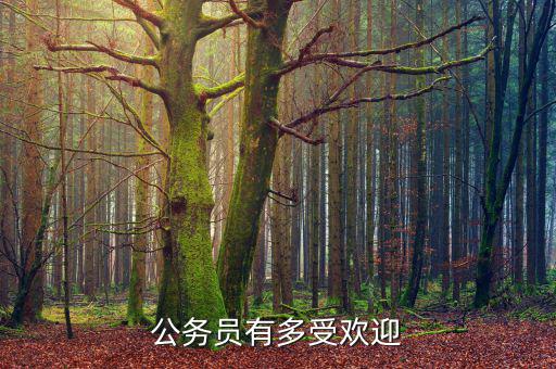 中國公務員總體人數多少,全國有多少公務員