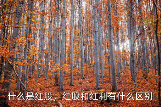 什么是紅股，紅股和紅利有什么區(qū)別