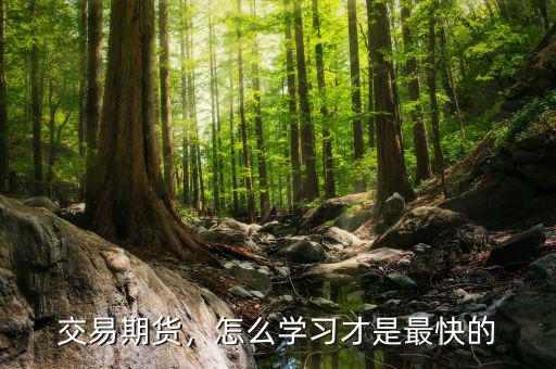 交易期貨，怎么學(xué)習(xí)才是最快的