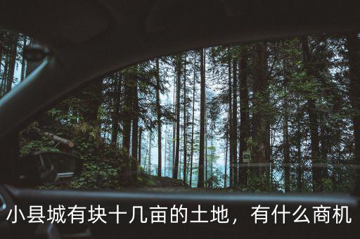 小縣城有塊十幾畝的土地，有什么商機(jī)
