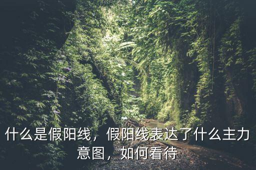 出現(xiàn)假陽線是什么原因,什么是假陽線