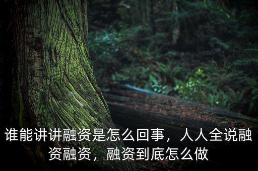誰(shuí)能講講融資是怎么回事，人人全說(shuō)融資融資，融資到底怎么做