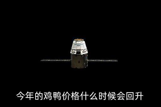 今年的雞鴨價格什么時候會回升