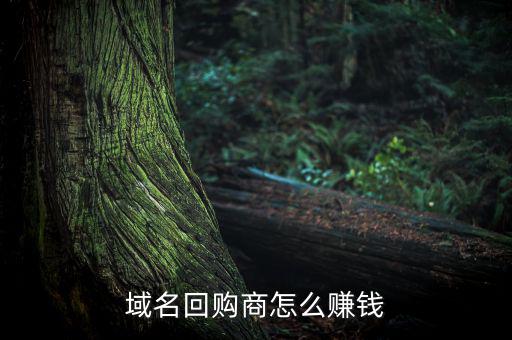 怎么搶域名賺錢,域名回購(gòu)商怎么賺錢