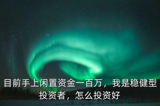 目前手上閑置資金一百萬，我是穩(wěn)健型投資者，怎么投資好