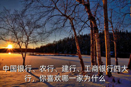 中國銀行、農(nóng)行、建行、工商銀行四大行，你喜歡哪一家為什么