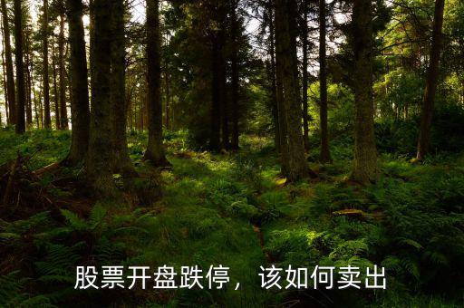 股票開盤跌停，該如何賣出