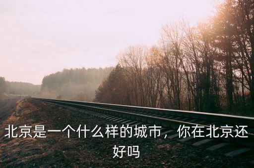 北京是一個什么樣的城市，你在北京還好嗎