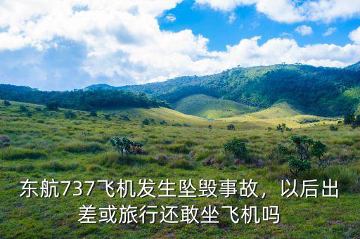 東航737飛機(jī)發(fā)生墜毀事故，以后出差或旅行還敢坐飛機(jī)嗎