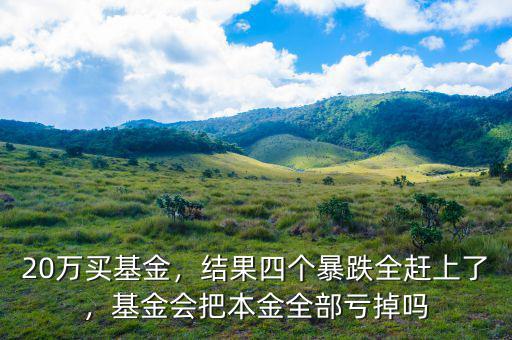 20萬(wàn)買(mǎi)什么基金,20萬(wàn)買(mǎi)基金