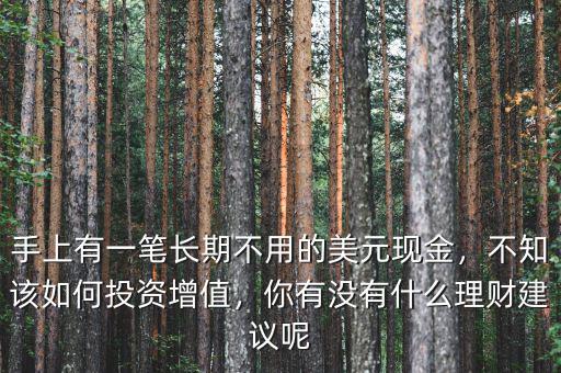 手上有一筆長期不用的美元現(xiàn)金，不知該如何投資增值，你有沒有什么理財(cái)建議呢