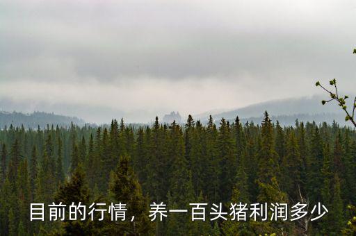 目前的行情，養(yǎng)一百頭豬利潤多少