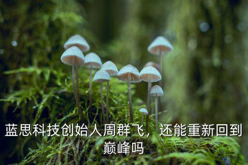藍思科技創(chuàng)始人周群飛，還能重新回到巔峰嗎