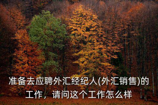 準(zhǔn)備去應(yīng)聘外匯經(jīng)紀(jì)人(外匯銷售)的工作，請問這個工作怎么樣