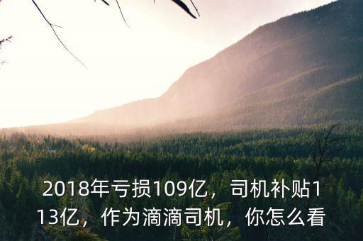 2018年虧損109億，司機(jī)補(bǔ)貼113億，作為滴滴司機(jī)，你怎么看