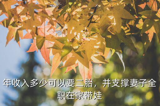 二胎需要多少開(kāi)銷(xiāo),那么養(yǎng)二胎到底需要多少錢(qián)